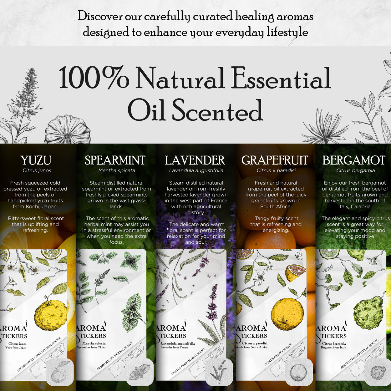 Bergamot (Citrus bergamia) - Aroma Stickers