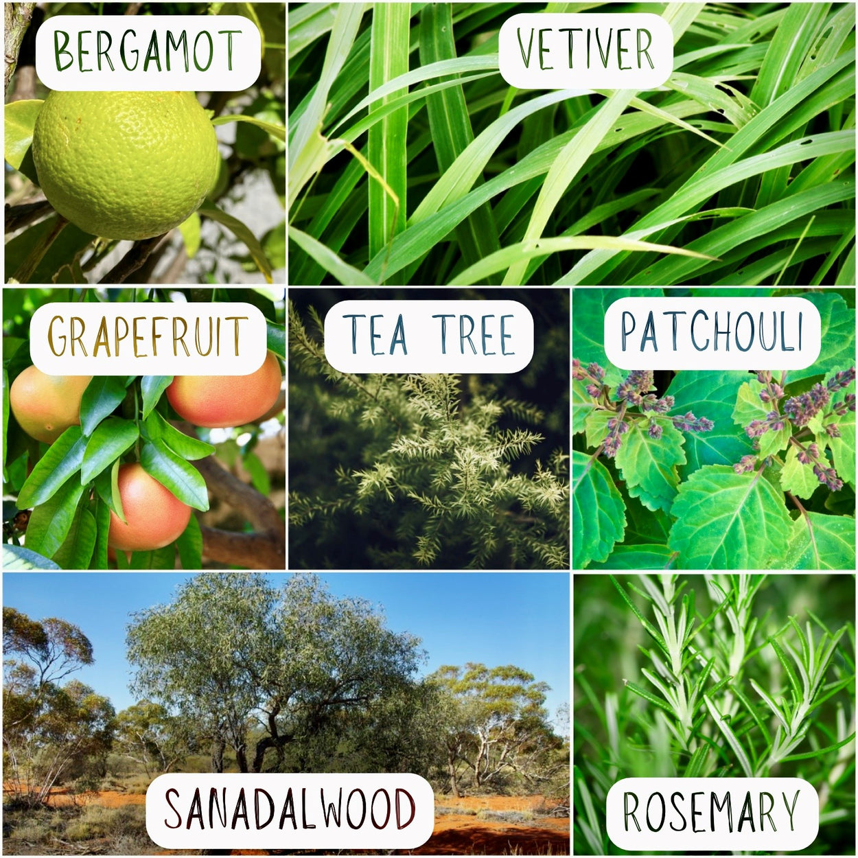 ENERGIZE - Aroma Stickers