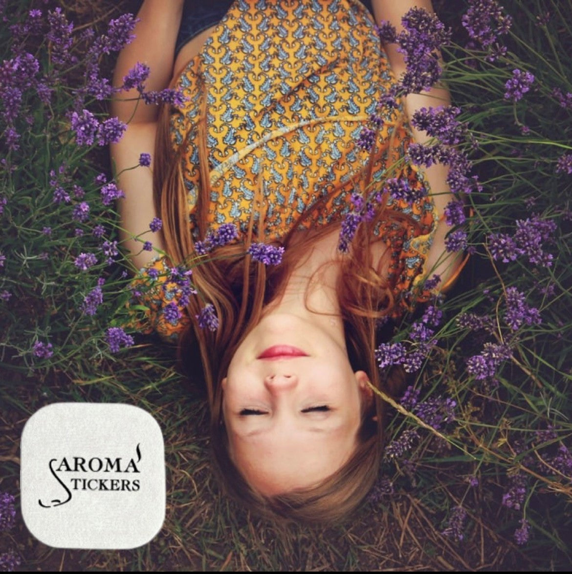 Lavender (Lavandula augustifolia) - Aroma Stickers