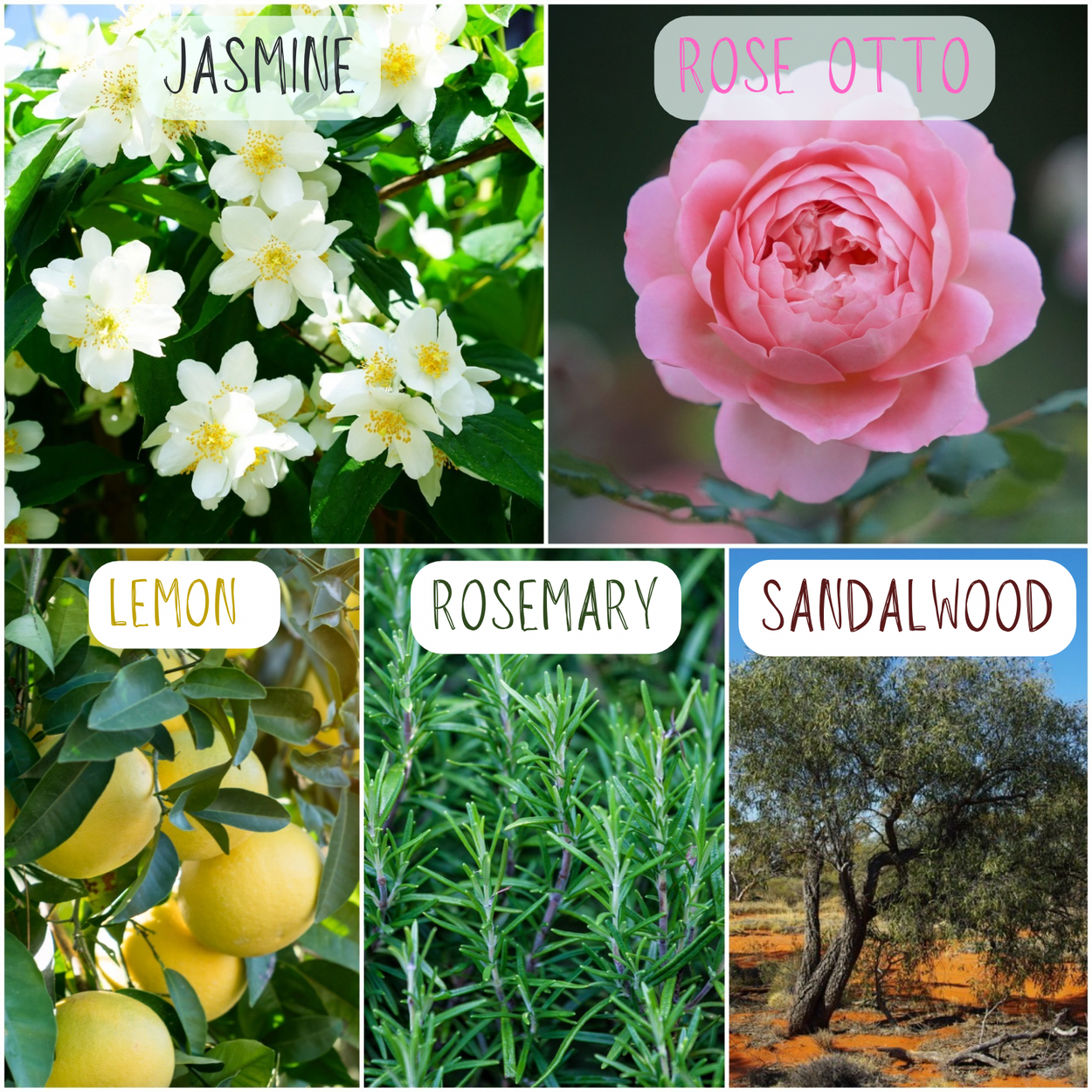 ROMANCE (NEW!!) - Aroma Stickers