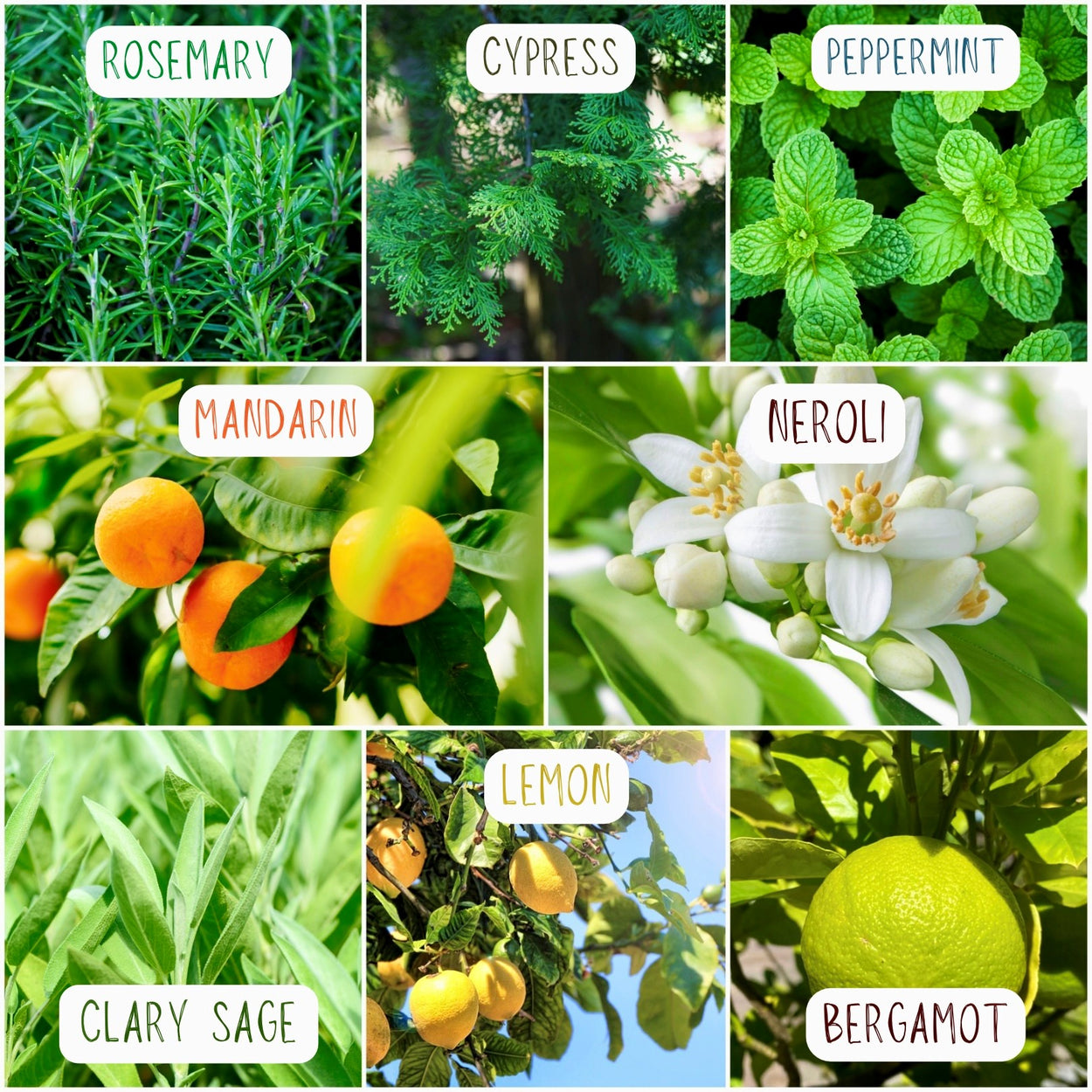 REFRESH - Aroma Stickers