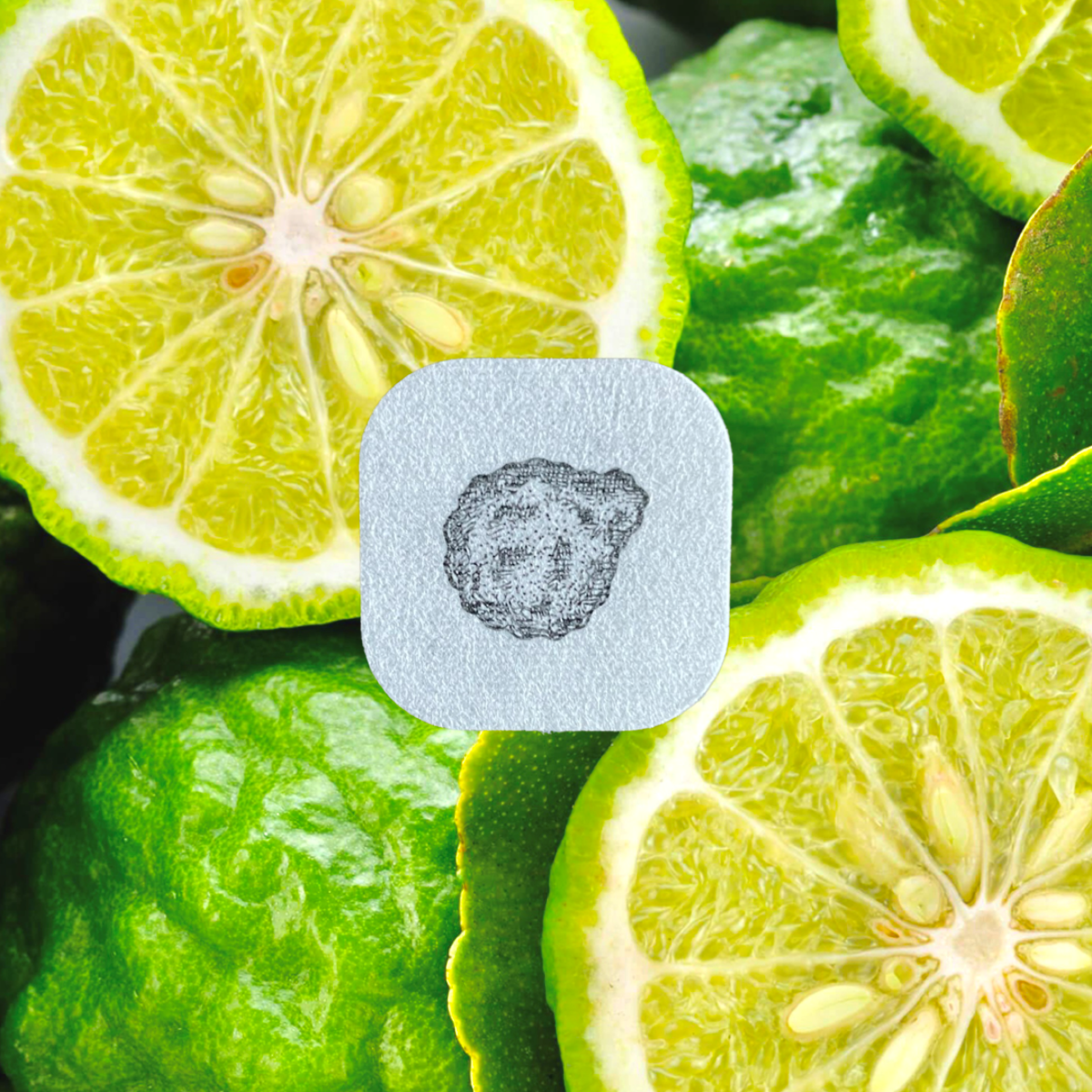 Bergamot (Citrus bergamia) - Aroma Stickers