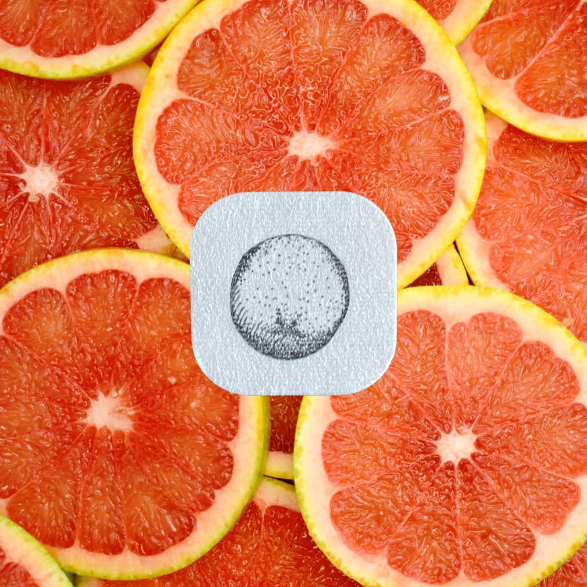 Grapefruit (Citrus x paradisi) - Aroma Stickers